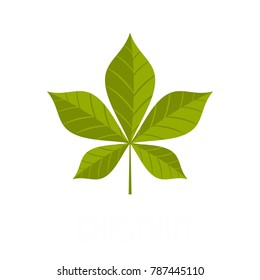 Chestnut leaf icon. Flat illustration of chestnut leaf vector icon isolated on white background