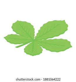 Chestnut leaf icon. Isometric of chestnut leaf vector icon for web design isolated on white background
