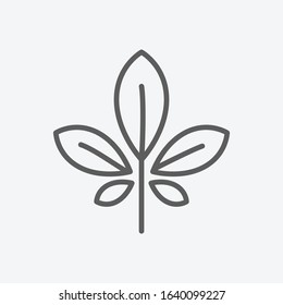 Chestnut leaf icon line symbol. Isolated vector illustration of icon sign concept for your web site mobile app logo UI design.