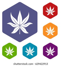 Chestnut leaf icons set hexagon isolated vector illustration