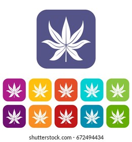 Chestnut leaf icons set vector illustration in flat style In colors red, blue, green and other