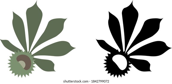Castaño con hoja aislada en blanco. Ilustración de la planta. Logotipo natural en color verde y monocromo