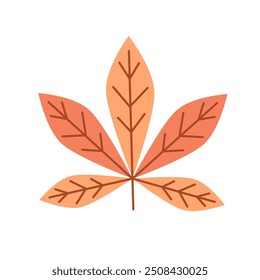Chestnut leaf isolated on white background. Autumn tree leaf. Foliage
