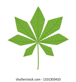 Chestnut leaf isolated on whte. Vector illustration in flat cartoon style.