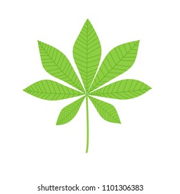 Chestnut leaf isolated on whte. Vector illustration in flat cartoon style.