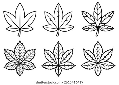 Chestnut leaf line art illustration in nature style