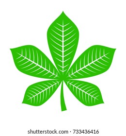 Chestnut leaf logo icon. Simple illustration of chestnut tree leaf vector illustration for print or web design.