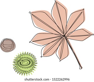 Chestnut leaf and seed painted line art. Chestnut fruits ripen in autumn.Vector illustration.