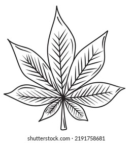 Chestnut leaf sketch hand drawn black line illustration isolated on white background. Hand drawn vector drawing made in doodle style. Autumn falling leaves. Cannabis, marijuana drawing