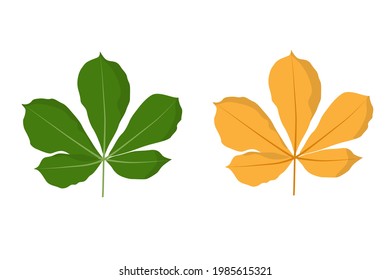 Hoja de castaño. Verde primavera y naranja otoño. Ilustración vectorial aislada sobre fondo blanco