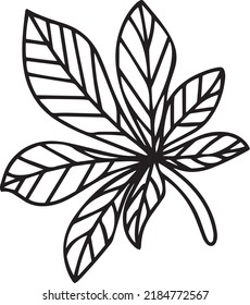 Chestnut leaf Vector, Clip Art, Black and White