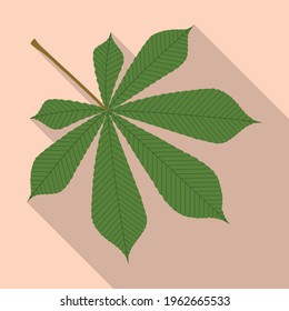 Chestnut leaf vector icon.Flat vector icon isolated on white background chestnut leaf .