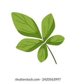 Ilustración vectorial de la hoja de castaño. Dibujo botánico de la hoja verde de la planta. Aislado en blanco.