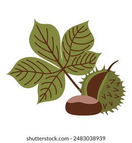 Chestnut with leaves and prickly shell on a white background. Vector illustration of chestnut icon, in flat hand drawn style eps 10
