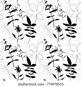 Chestnut leaves, sunflower and herbs vector floral seamless pattern .Black herbs , flowers and leaves on white background.
