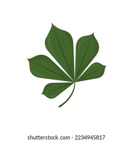Chestnut leaves in a trendy flat style. Vector illustration isolated on white background.