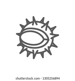 Chestnut line icon.