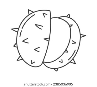 Chestnut Linear Icon Vector Illustration