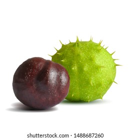 Chestnut low poly. Barbed  and strong chestnut. Beautiful chestnuts. Chestnut leaves in triangulation technique. Vector illustration.