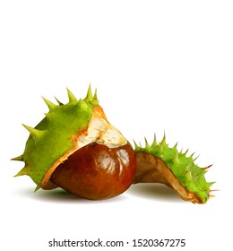 Chestnut low poly. Barbed  and strong chestnut. Beautiful chestnuts. Chestnut leaves in triangulation technique. Vector illustration.