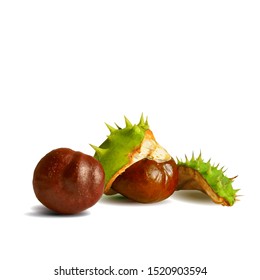 Chestnut low poly. Barbed  and strong chestnut. Beautiful chestnuts. Chestnut leaves in triangulation technique. Vector illustration.