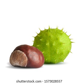 Chestnut low poly. Barbed  and strong chestnut. Beautiful chestnuts. Chestnut leaves in triangulation technique. Vector illustration.
