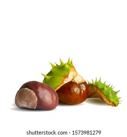 Chestnut low poly. Barbed  and strong chestnut. Beautiful chestnuts. Chestnut leaves in triangulation technique. Vector illustration.