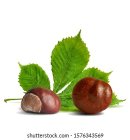 Chestnut low poly. Barbed and strong chestnut. Beautiful chestnuts. Chestnut leaves in triangulation technique. Vector illustration.