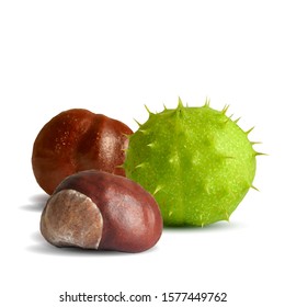 Chestnut low poly. Barbed  and strong chestnut. Beautiful chestnuts. Chestnut leaves in triangulation technique. Vector illustration.