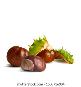 Chestnut low poly. Barbed  and strong chestnut. Beautiful chestnuts. Chestnut leaves in triangulation technique. Vector illustration.