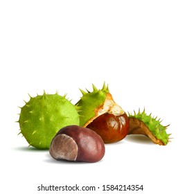 Chestnut low poly. Barbed and strong chestnut. Beautiful chestnuts. Chestnut leaves in triangulation technique. Vector illustration.