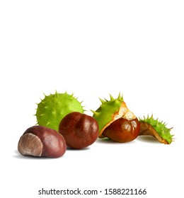 Chestnut low poly. Barbed and strong chestnut. Beautiful chestnuts. Chestnut leaves in triangulation technique. Vector illustration.