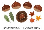 Chestnut and maple hand-painted illustration set
Image of autumn