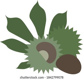 Chestnut minimalist composition with leaves isolated on white