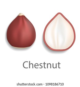Chestnut mockup. Realistic illustration of chestnut vector mockup for web design isolated on white background