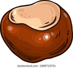 Chestnut Nut Colored Detailed Illustration
