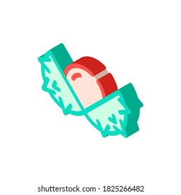 chestnut nut isometric icon vector. chestnut nut sign. isolated symbol illustration