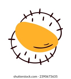 Chestnut Nut Lined Vector Illustration