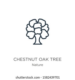 Chestnut oak tree icon. Thin linear chestnut oak tree outline icon isolated on white background from nature collection. Line vector sign, symbol for web and mobile