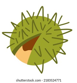 Castaño. Comida orgánica. Elementos de diseño para tela, afiche, embalaje, pancarta y papel de envoltura. Iconos aislados del vector de castaño.