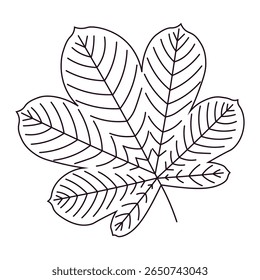 Folha de outono esboço castanheiro. folha de outono estilizada de castanheiro  