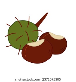 Chestnut in peel and without, autumn design element, doodle style vector