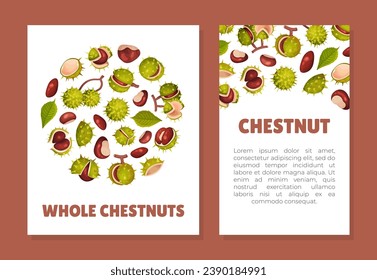 Chestnut Plant Banner Design with Brown Fruit in Green Spiky Husk Vector Template