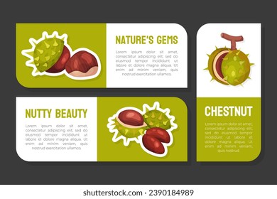 Chestnut Plant Label or Sticker Design with Brown Fruit in Green Spiky Husk Vector Template