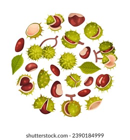 Chestnut Plant Round Composition Design with Brown Fruit in Green Spiky Husk Vector Template