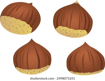 Chestnut Set 1.
An illustration set of chestnuts, a delicious autumn ingredient.