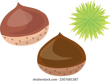 Chestnut Set 3,
A set of illustrations of chestnuts and cupules.