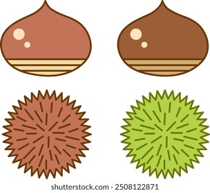 Chestnut set 8.
An illustration set of chestnuts and chestnut burrs.