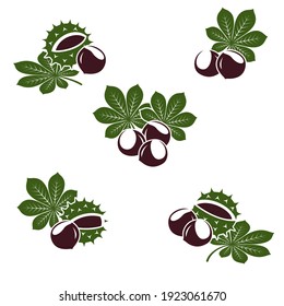 Chestnut set. Collection icon chestnut. Vector