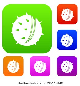 Chestnut set icon color in flat style isolated on white. Collection sings vector illustration